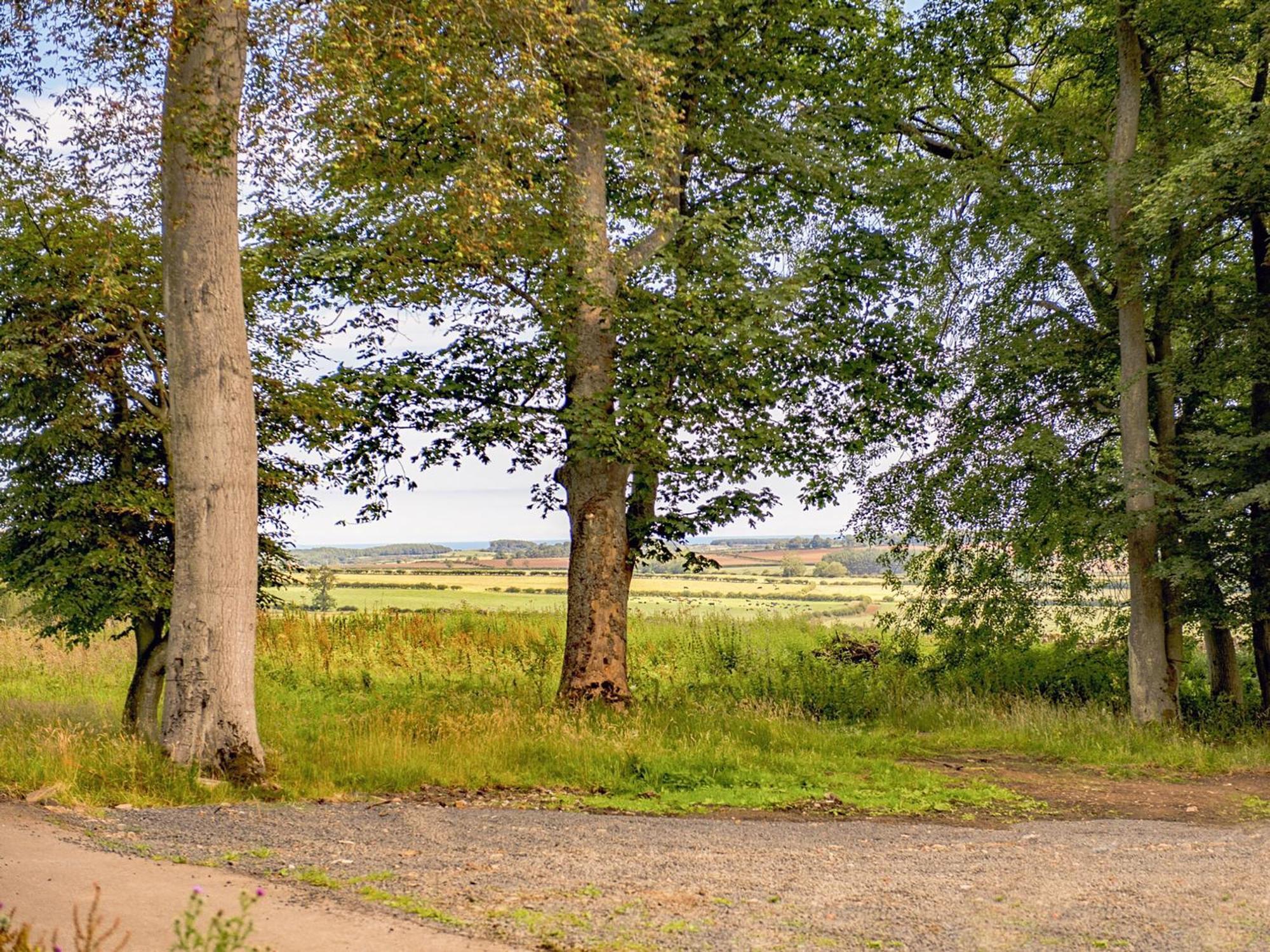 Heckley Stable Cottage Alnwick Buitenkant foto